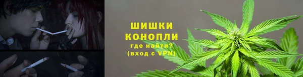 бошки Володарск
