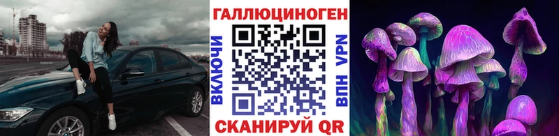 Псилоцибиновые грибы Psilocybe  Купить где  Покров 